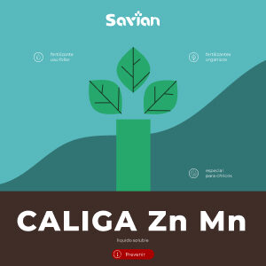 CALIGA-ZINC-MANGANESO_Fosfitos_SAVIAN