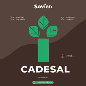 CADESAL_Líquido-Soluble_Savian