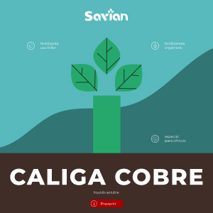 CALIGA-COBRE_Fosfitos_SAVIAN