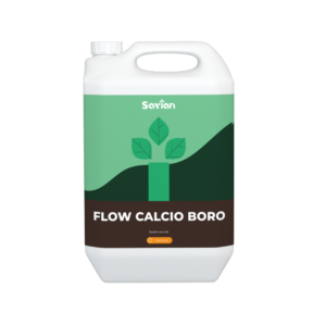 FLOW CALCIO BORO