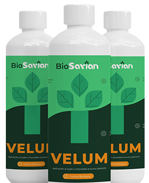 producto Velum transparente_Savian